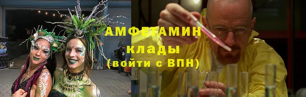 ECSTASY Алзамай