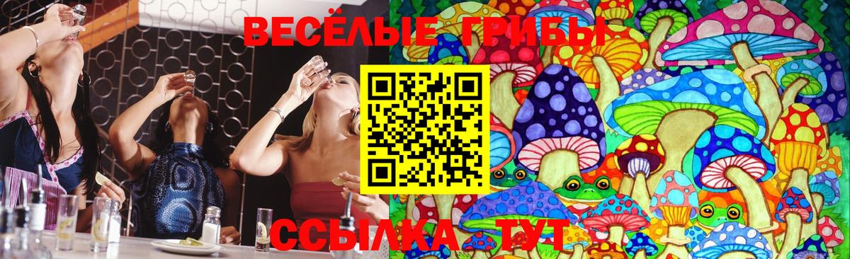 Экстази Железноводск