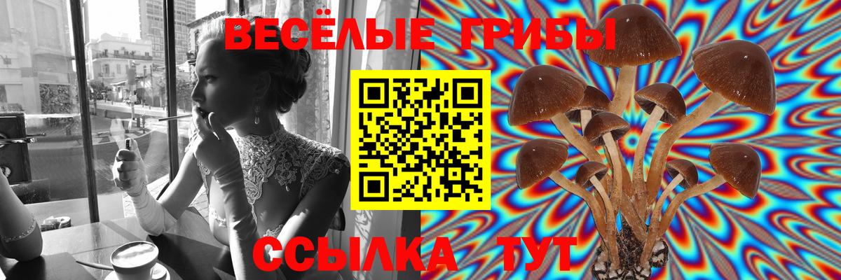 Галлюциногенные грибы Magic Shrooms  Железноводск 