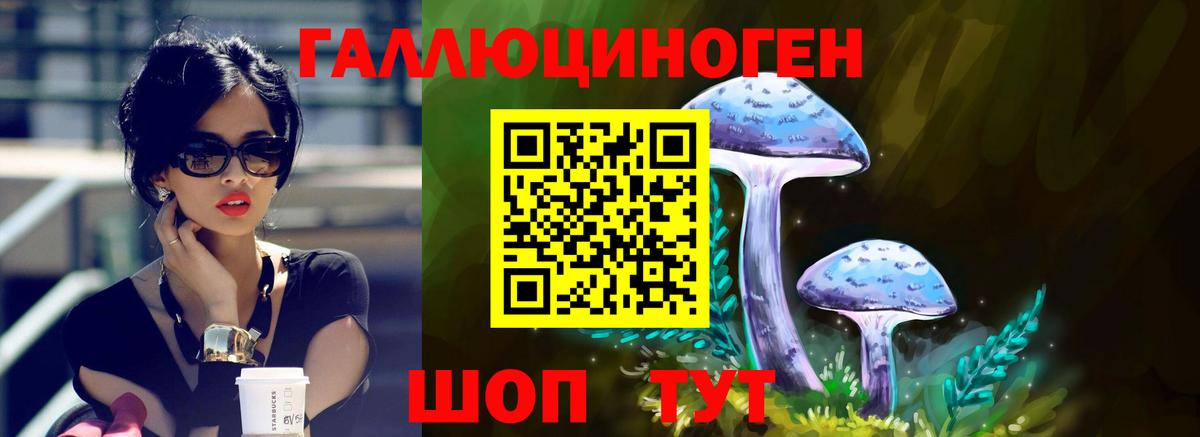 Галлюциногенные грибы Magic Shrooms Железноводск